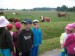 DSCF6987