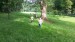 20140604_090344
