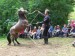 Snímek 1360.jpg